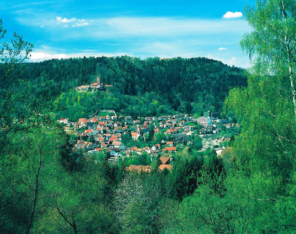 Hotel Hochwald Bad Liebenzell Phòng bức ảnh